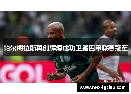 帕尔梅拉斯再创辉煌成功卫冕巴甲联赛冠军 帕尔梅拉斯再创辉煌成功卫冕巴甲联赛冠军